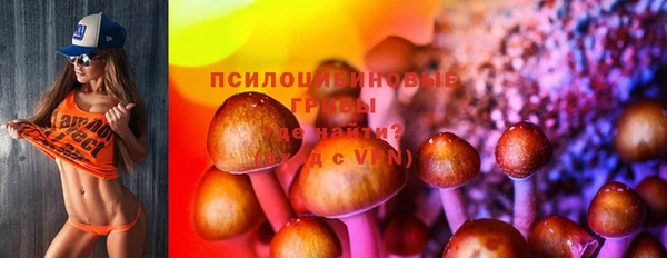 метамфетамин Белокуриха