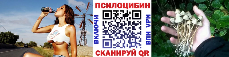 хочу наркоту  Щигры  Псилоцибиновые грибы Psilocybine cubensis 